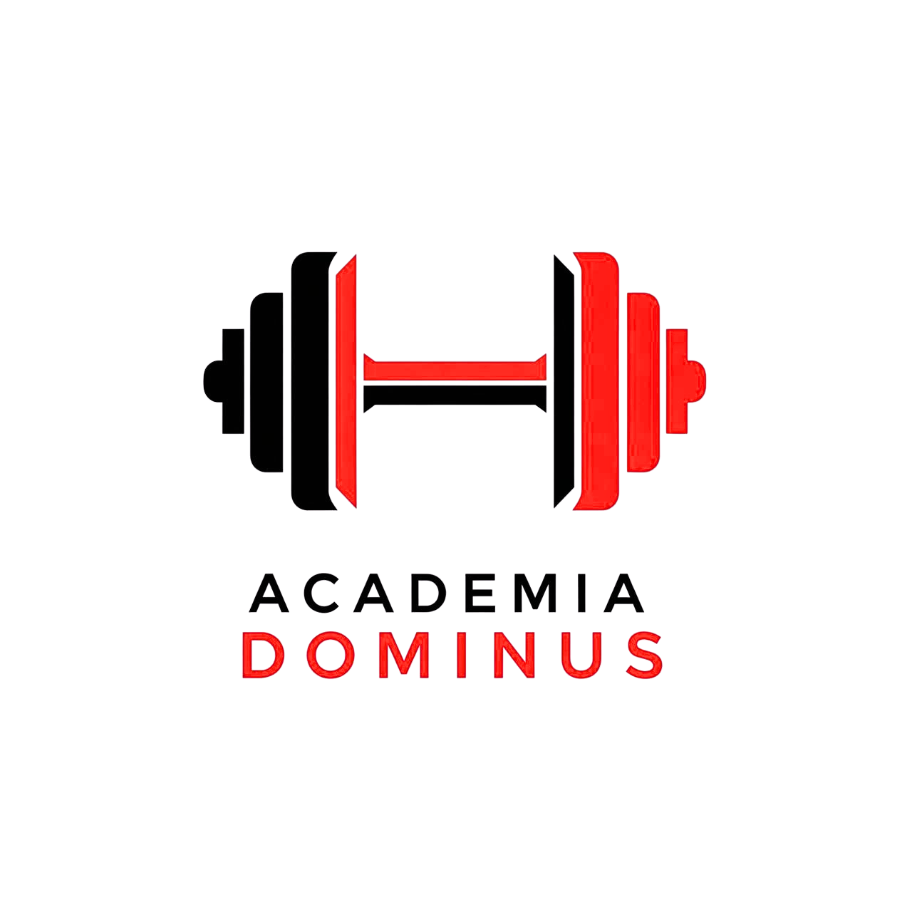 Academia Dominus Logo
